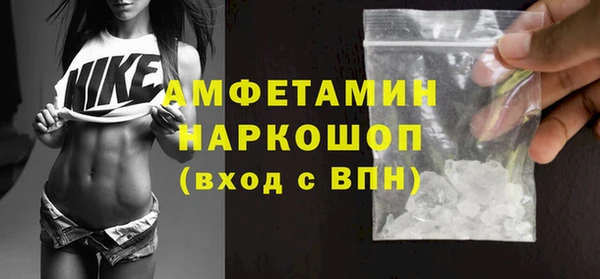 молекула духа Алексеевка