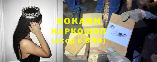 крисы Алексин