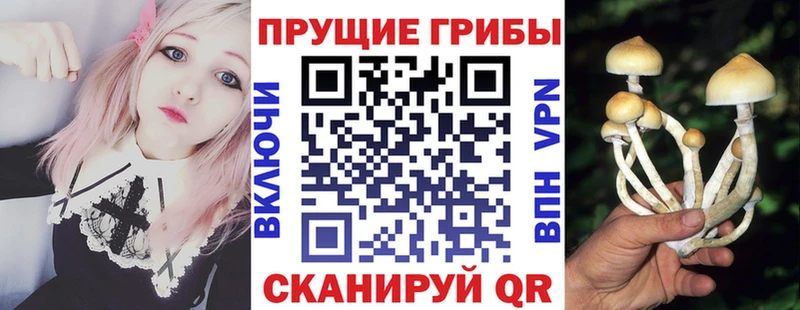 omg зеркало  даркнет клад  Галлюциногенные грибы ЛСД  наркошоп  Олонец 